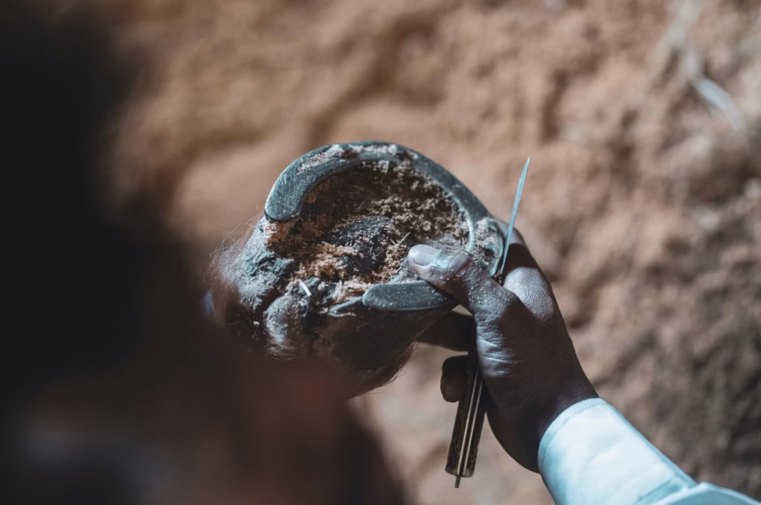 Ebola en RDC : plus de 4 000 cas enregistrés, pourquoi la menace se fait plus vive en Afrique